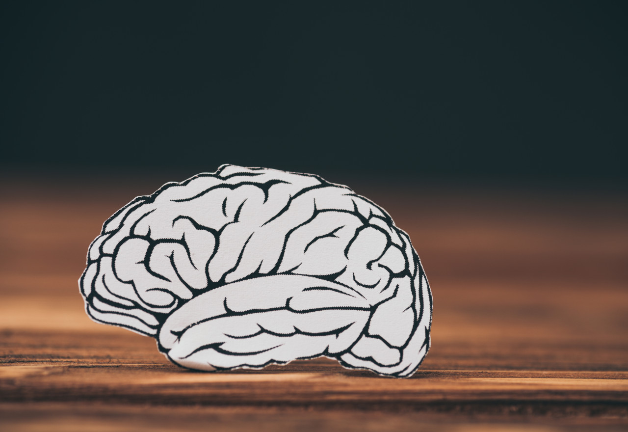 close up of paper with brain shape as dementia symbol